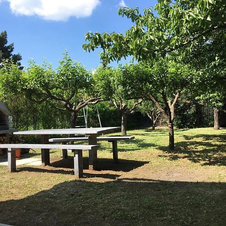 Nefelejcs Apartman Balatonvilágos 外观 照片